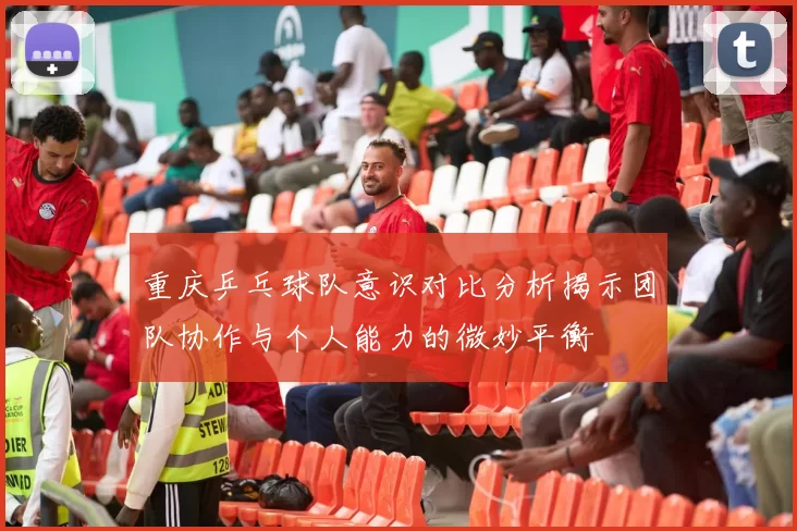 重庆乒乓球队意识对比分析揭示团队协作与个人能力的微妙平衡