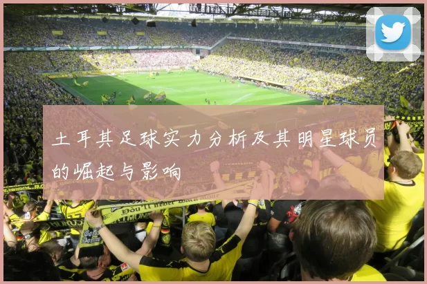 土耳其足球实力分析及其明星球员的崛起与影响
