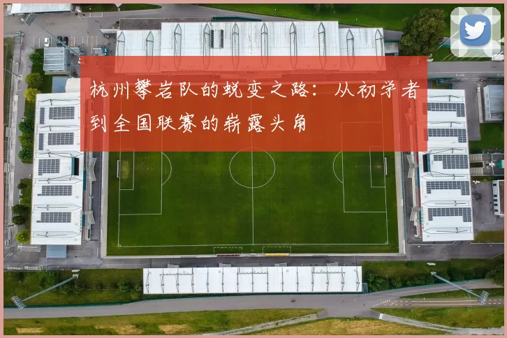杭州攀岩队的蜕变之路：从初学者到全国联赛的崭露头角