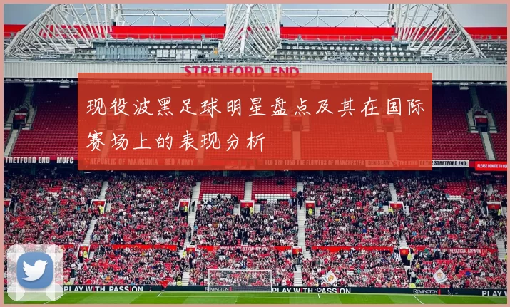 现役波黑足球明星盘点及其在国际赛场上的表现分析