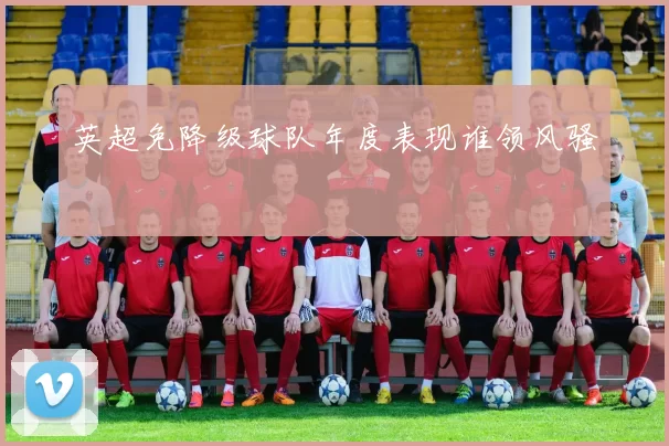 英超免降级球队年度表现谁领风骚