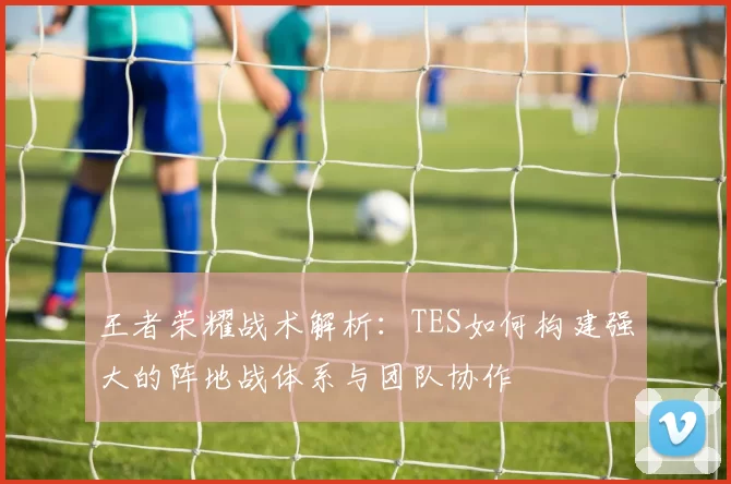 王者荣耀战术解析：TES如何构建强大的阵地战体系与团队协作