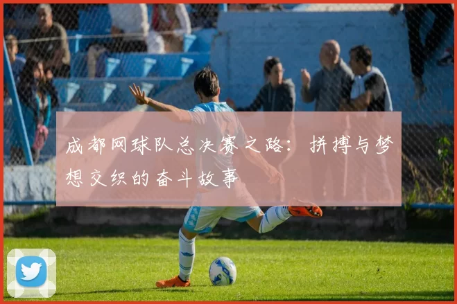成都网球队总决赛之路：拼搏与梦想交织的奋斗故事
