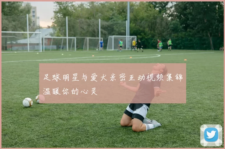 足球明星与爱犬亲密互动视频集锦温暖你的心灵