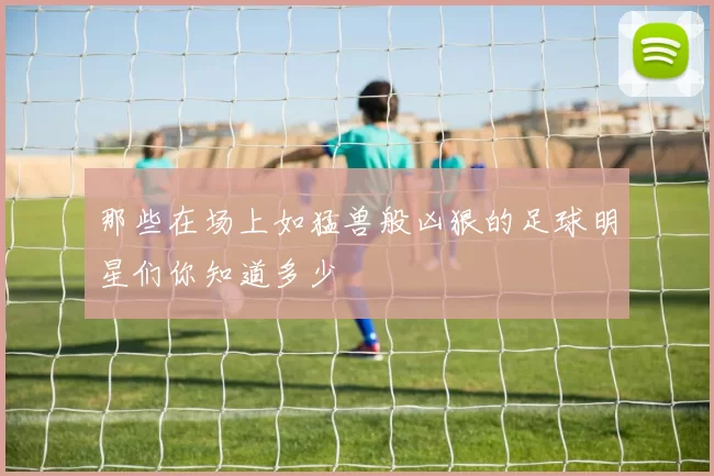 那些在场上如猛兽般凶狠的足球明星们你知道多少