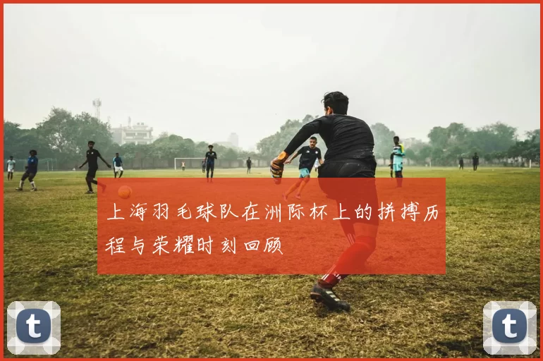 上海羽毛球队在洲际杯上的拼搏历程与荣耀时刻回顾