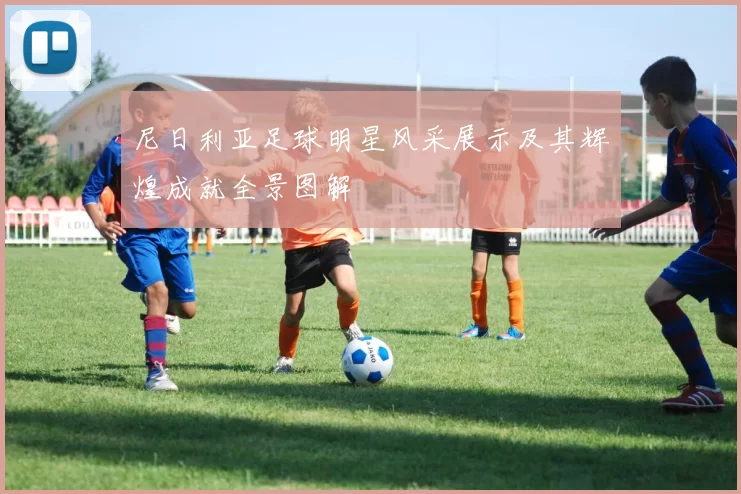 尼日利亚足球明星风采展示及其辉煌成就全景图解