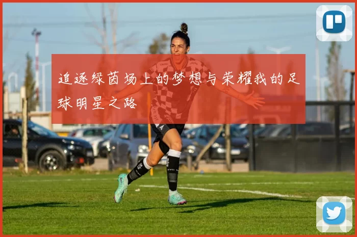 追逐绿茵场上的梦想与荣耀我的足球明星之路