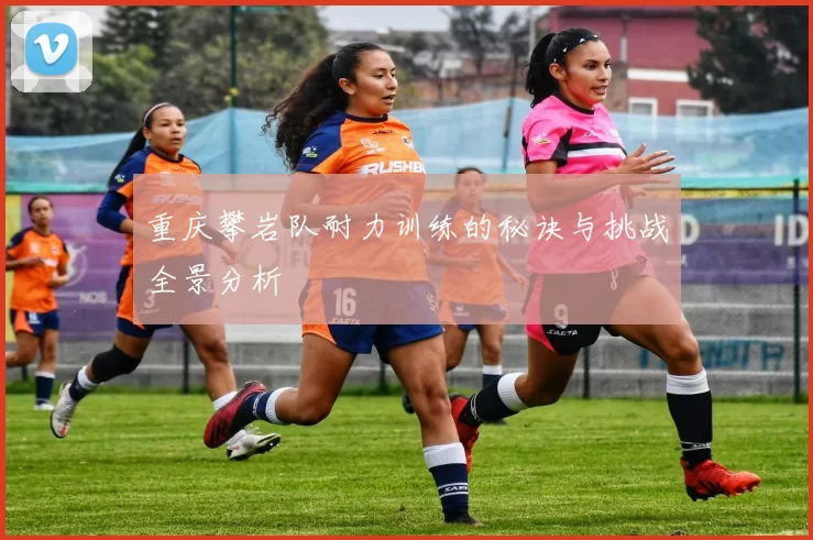 重庆攀岩队耐力训练的秘诀与挑战全景分析